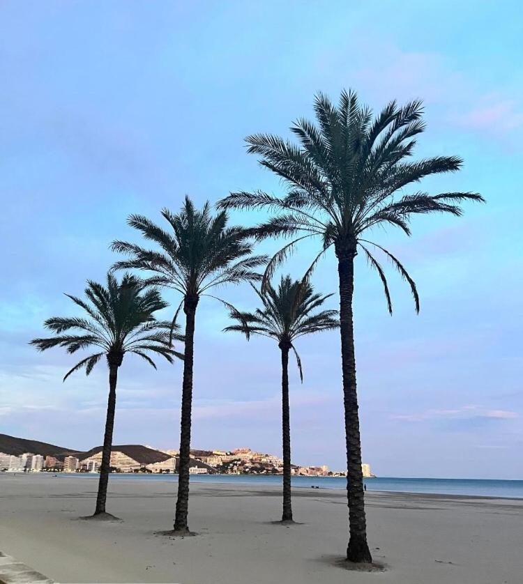 A 50 M De La Plage Cullera Dış mekan fotoğraf